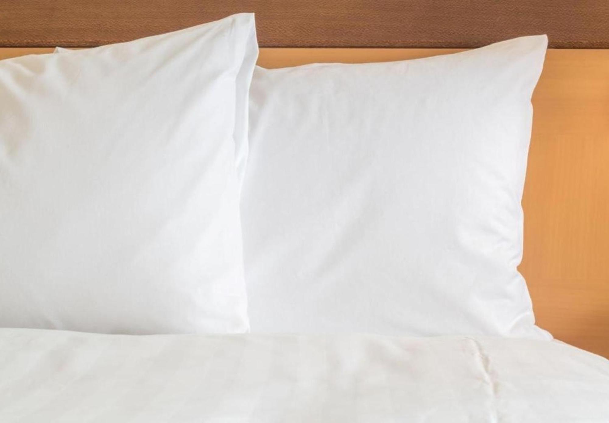 Holiday Inn Express Knoxville-Strawberry Plains By Ihg Esterno foto